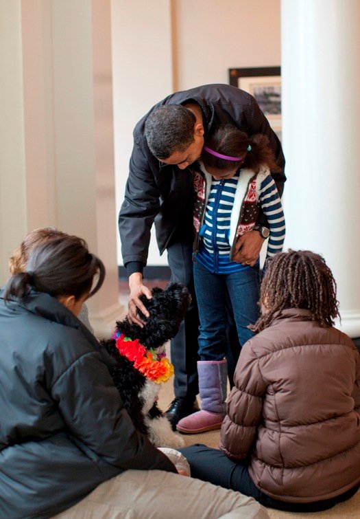 The President pets Bo The President pets Bo